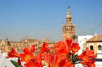 Hotel Boutique Casas De Santa Cruz