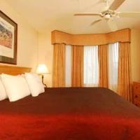 Hotel Homewood Suites By Hilton-dallas Lewisville
