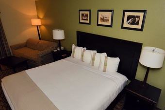 Hotel Holiday Inn Fort Myers - Downtown Area