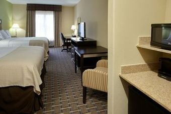 Hotel Holiday Inn Houston-webster